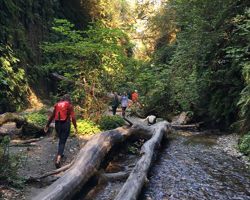 Outdoor Adventure Trips at SOU